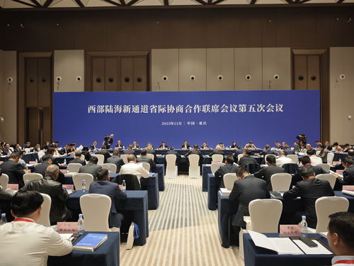 共商共建 合作共贏——西部陸海新通道省際協(xié)商合作聯(lián)席會議第五次會議在渝順利召開