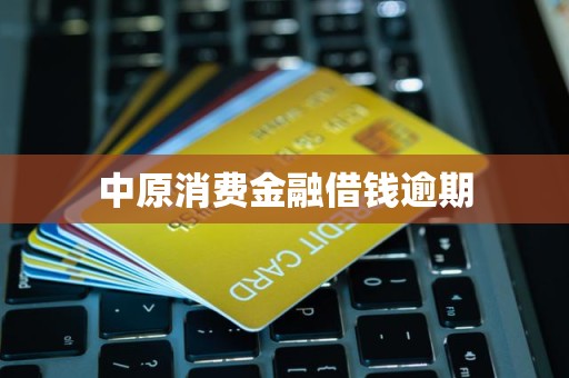 中原消費金融逾期借款催收流程解析 金融機構(gòu)委托第三方處理的影響與應(yīng)對